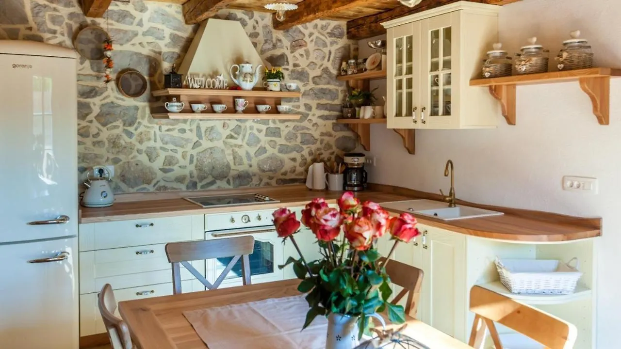 Villa Lusa Bajcici Guest house