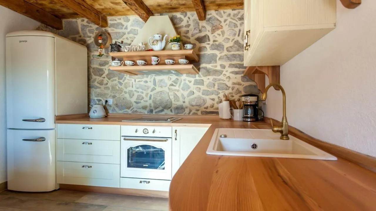 Guest house Villa Lusa Bajcici